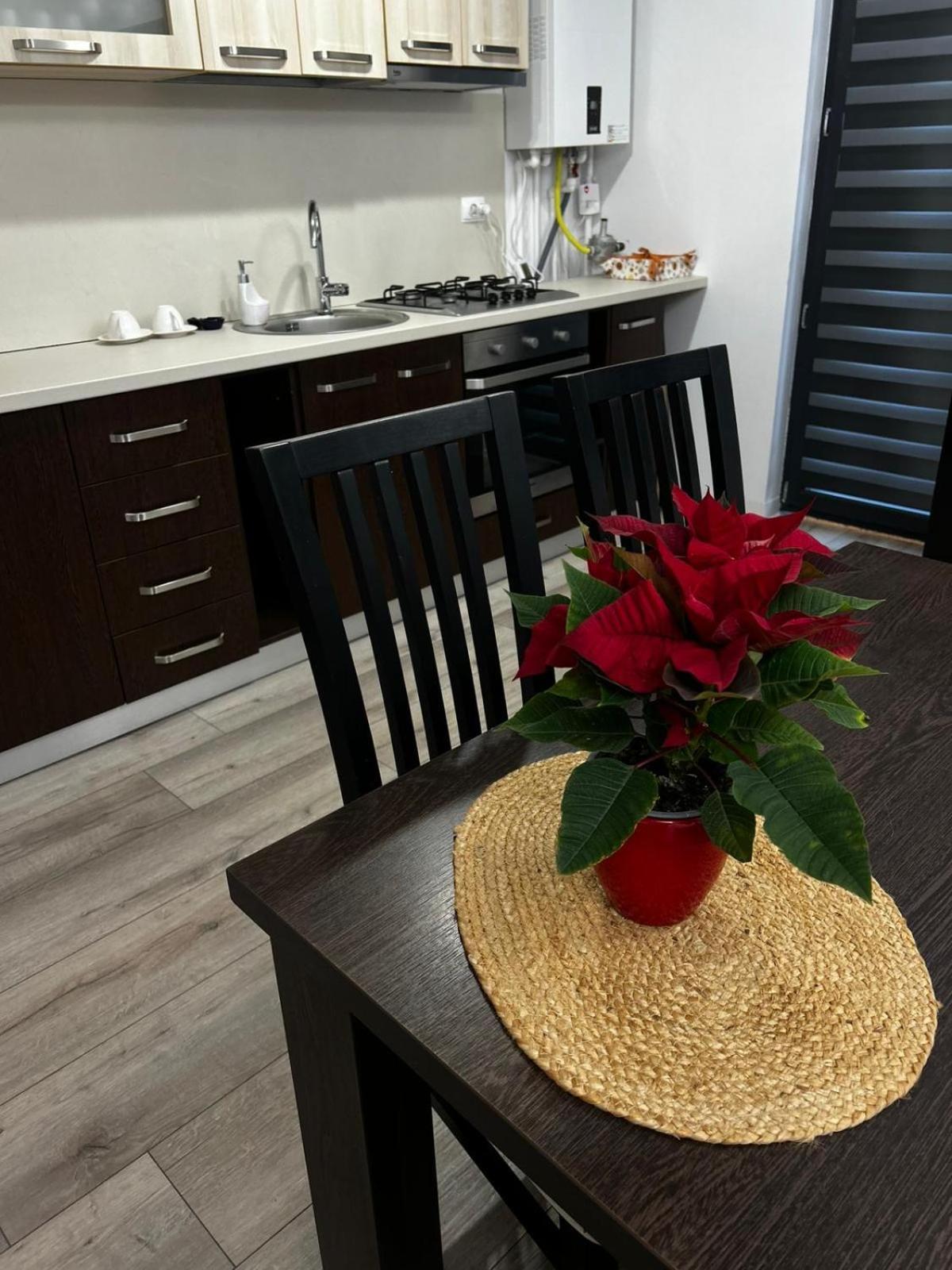 K&K Apartements Крайова Екстериор снимка